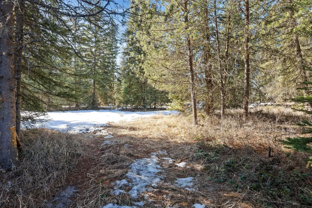 757 Lodgepole Road Whitefish MT 59937