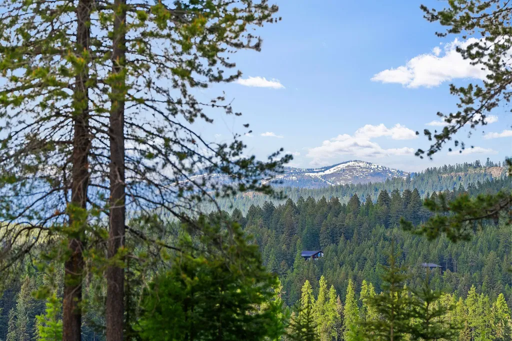 757 Lodgepole Road Whitefish MT 59937