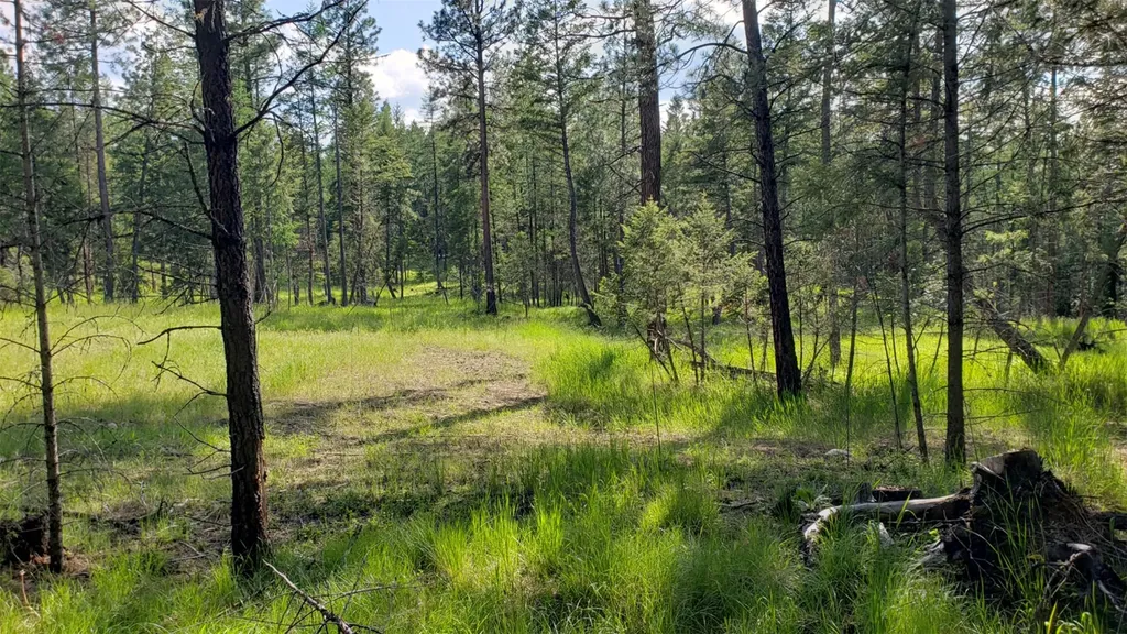151 Coffee Drive Eureka MT 59917