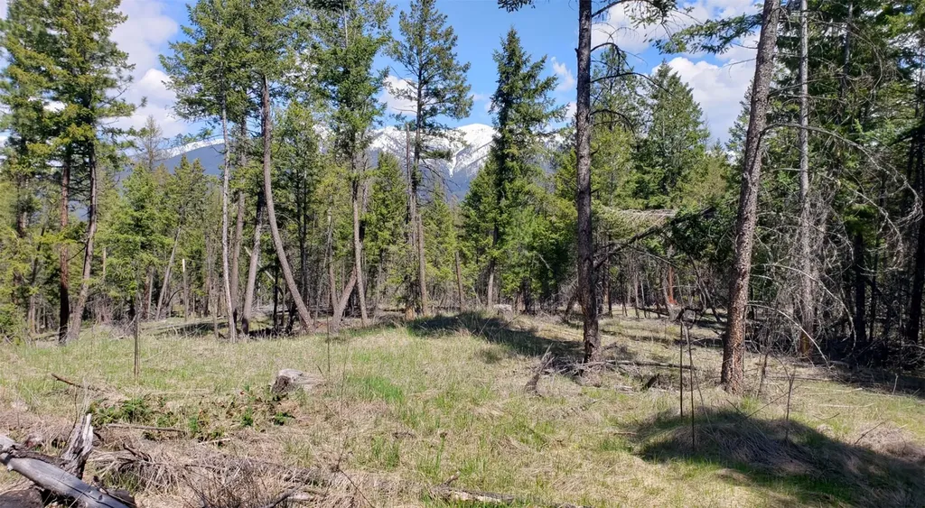 151 Coffee Drive Eureka MT 59917