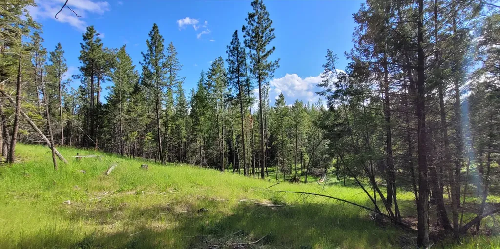 151 Coffee Drive Eureka MT 59917