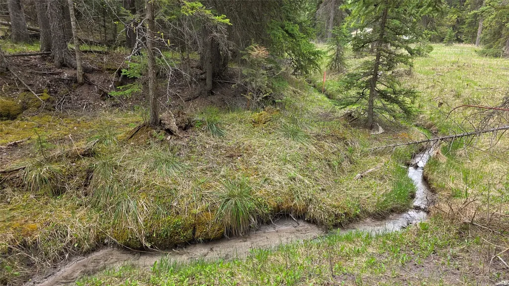 1776 Coon Hollow Road Kila MT 59920