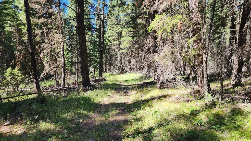 1776 Coon Hollow Road Kila MT 59920