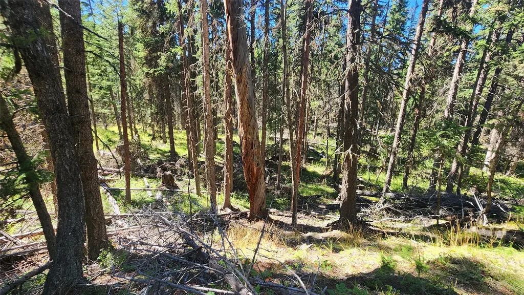 1776 Coon Hollow Road Kila MT 59920