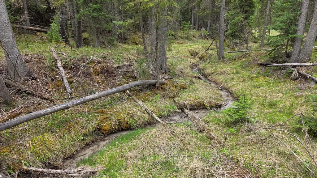 1776 Coon Hollow Road Kila MT 59920