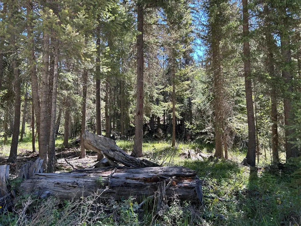1776 Coon Hollow Road Kila MT 59920