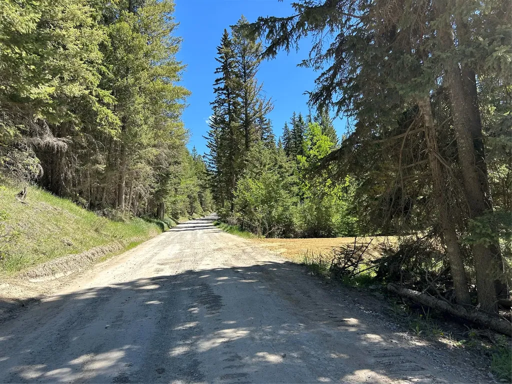 1776 Coon Hollow Road Kila MT 59920