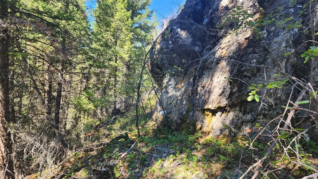 1776 Coon Hollow Road Kila MT 59920
