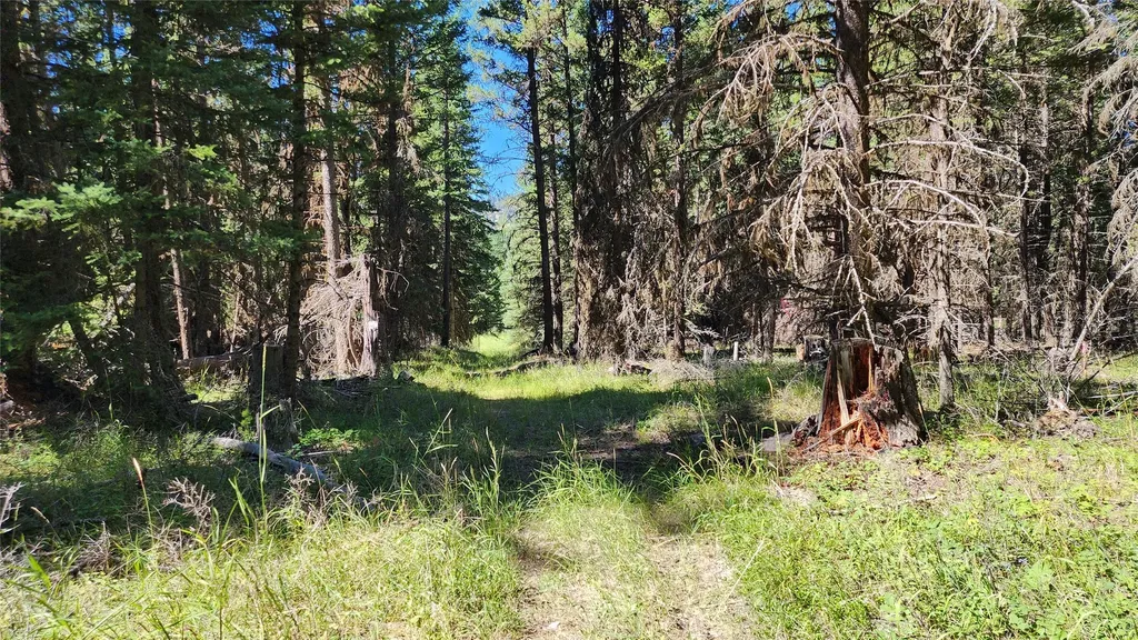 1776 Coon Hollow Road Kila MT 59920
