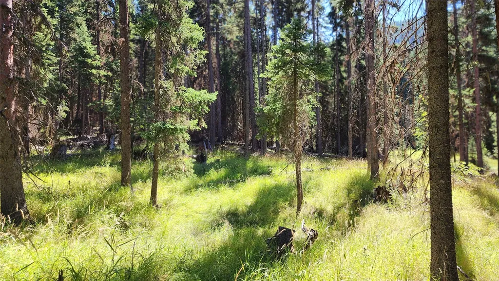1776 Coon Hollow Road Kila MT 59920