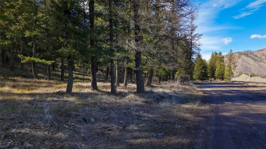 303 Iron Mountain Heights Superior MT 59872
