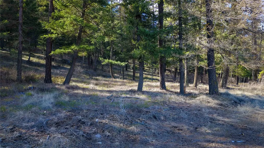 303 Iron Mountain Heights Superior MT 59872