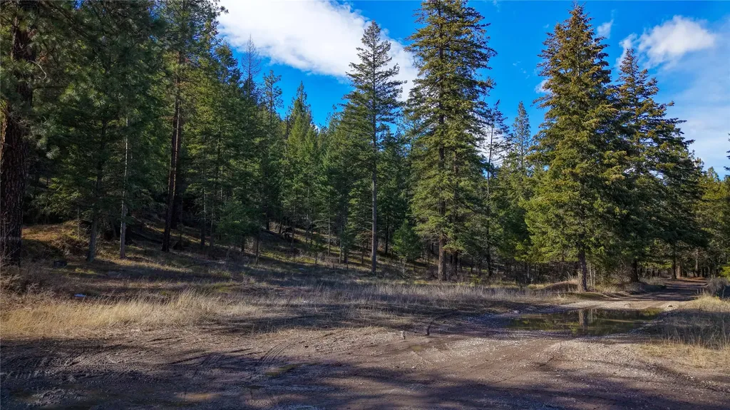 303 Iron Mountain Heights Superior MT 59872