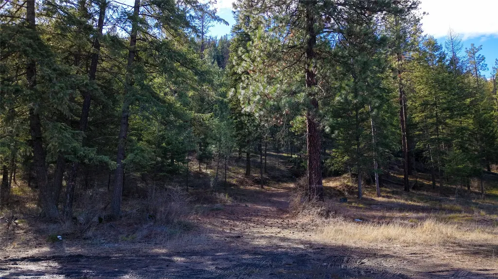 303 Iron Mountain Heights Superior MT 59872