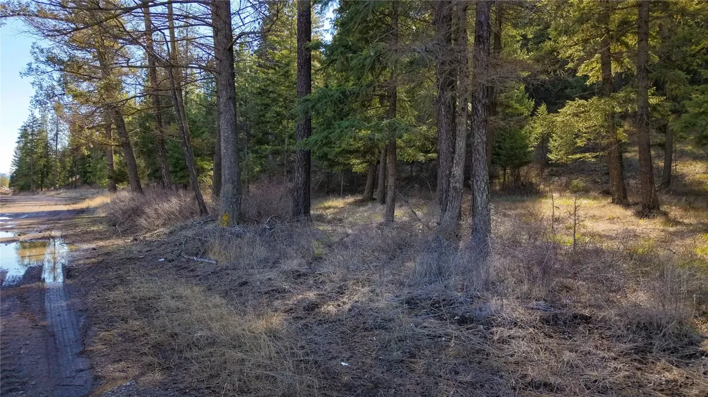 303 Iron Mountain Heights Superior MT 59872