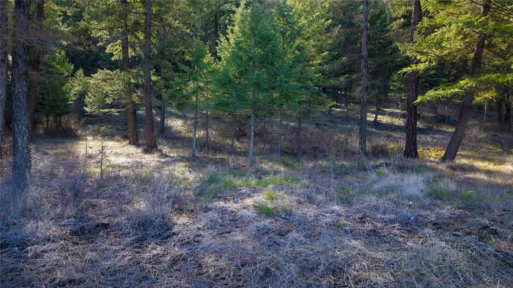 303 Iron Mountain Heights Superior MT 59872