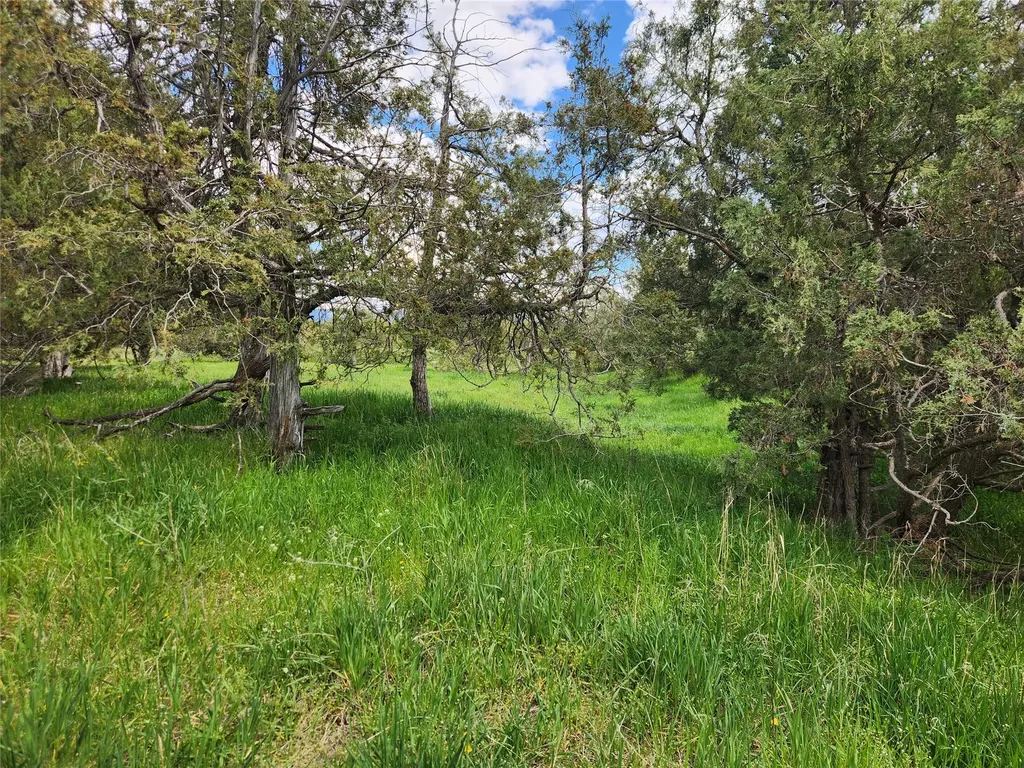3041 Upper Burnt Fork School Road Stevensville MT 59870