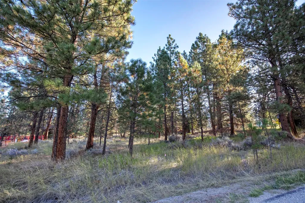 695 Pallo Trail Hamilton MT 59840