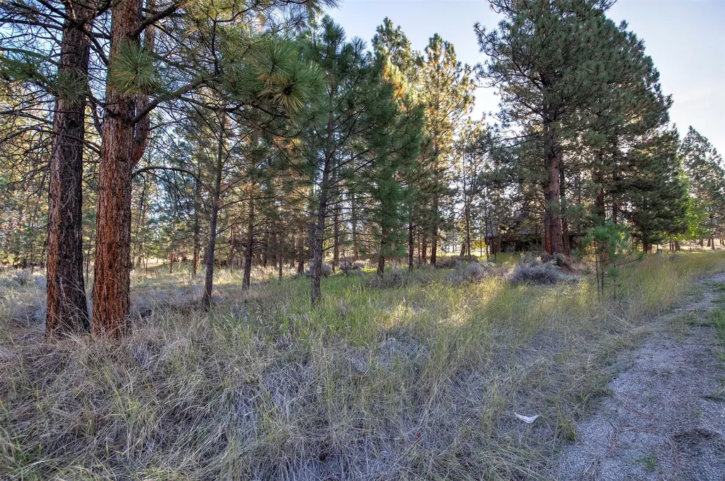 695 Pallo Trail Hamilton MT 59840