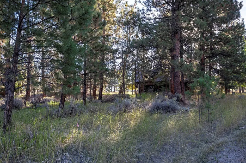 695 Pallo Trail Hamilton MT 59840