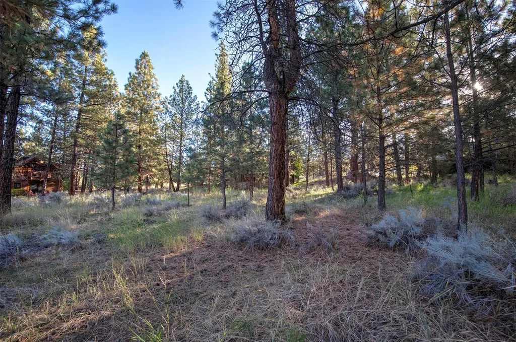 695 Pallo Trail Hamilton MT 59840