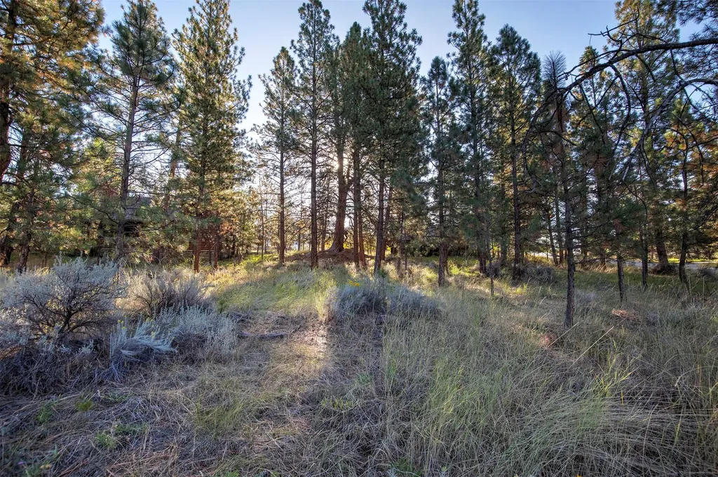 695 Pallo Trail Hamilton MT 59840
