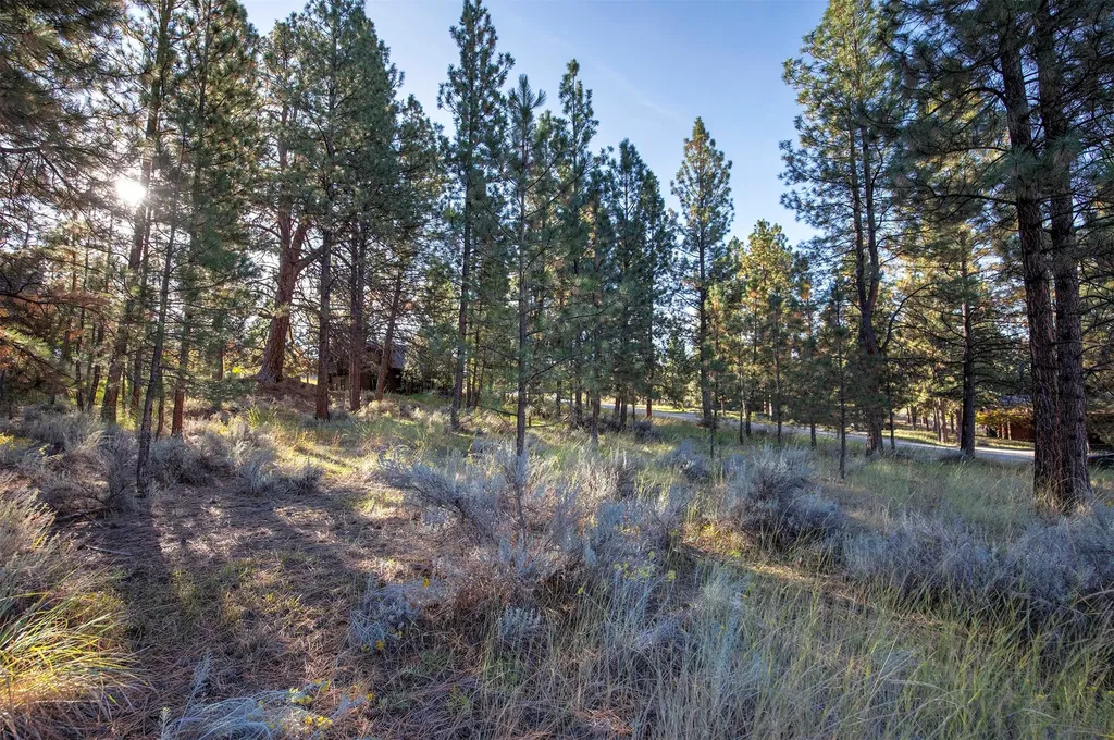 695 Pallo Trail Hamilton MT 59840