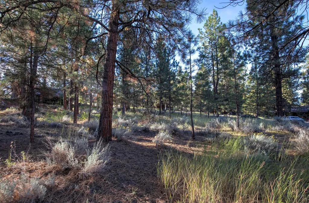 695 Pallo Trail Hamilton MT 59840