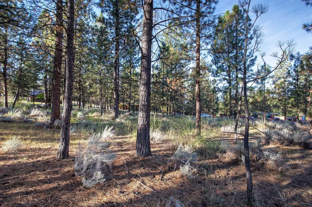 695 Pallo Trail Hamilton MT 59840