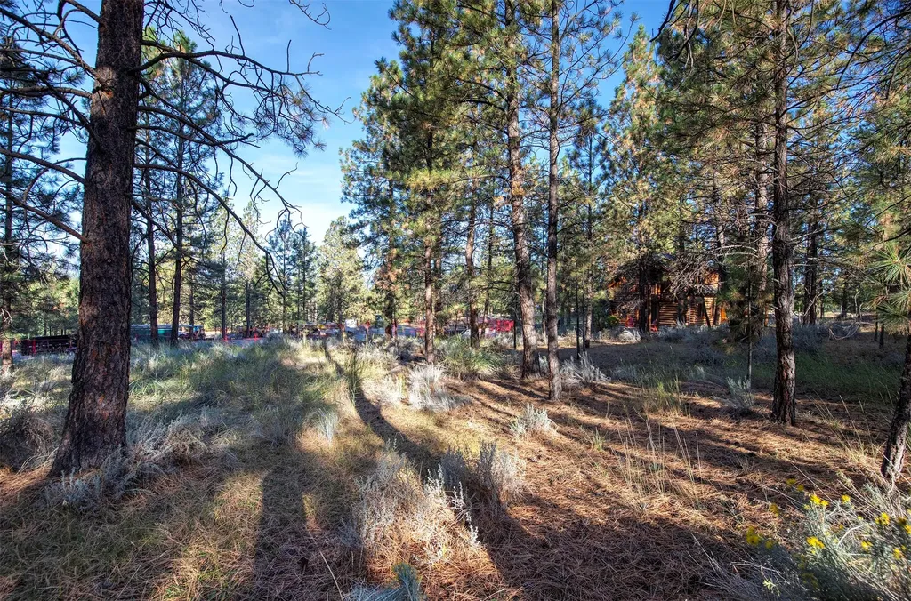 695 Pallo Trail Hamilton MT 59840