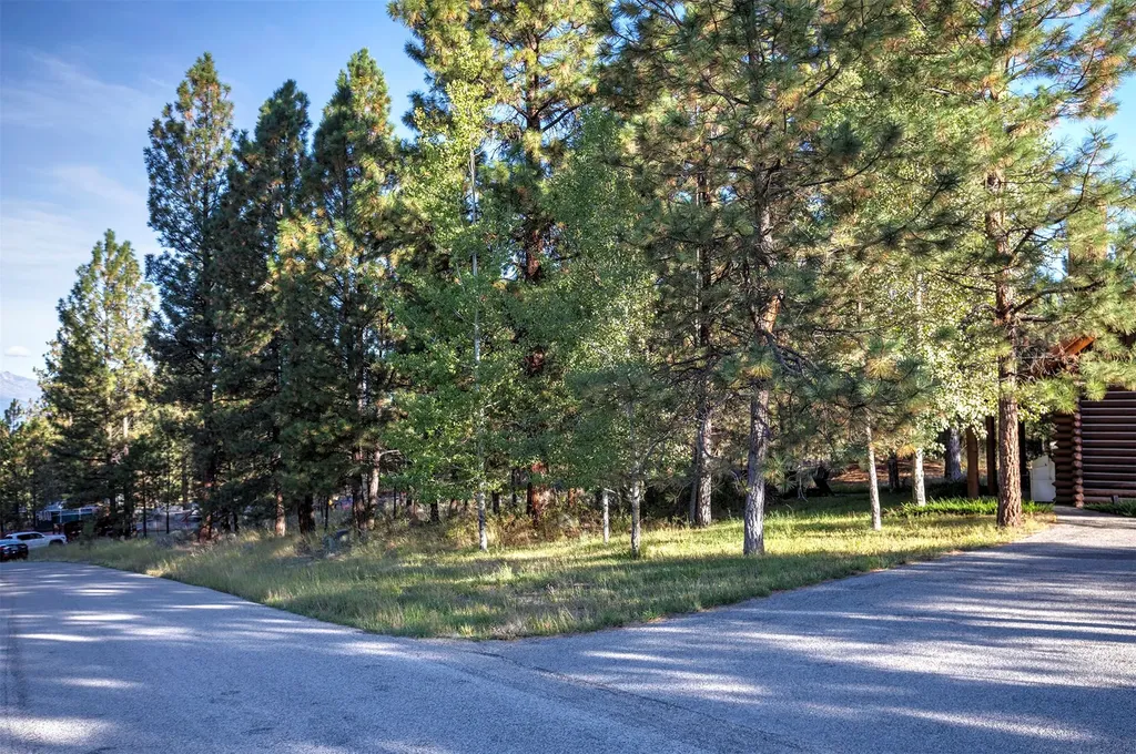 695 Pallo Trail Hamilton MT 59840