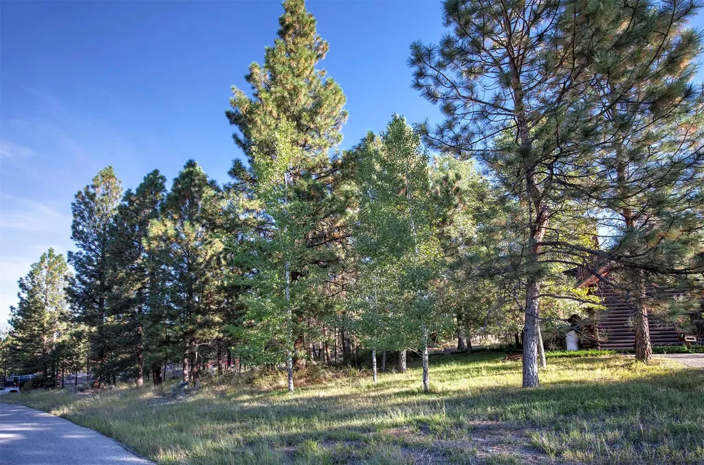 695 Pallo Trail Hamilton MT 59840