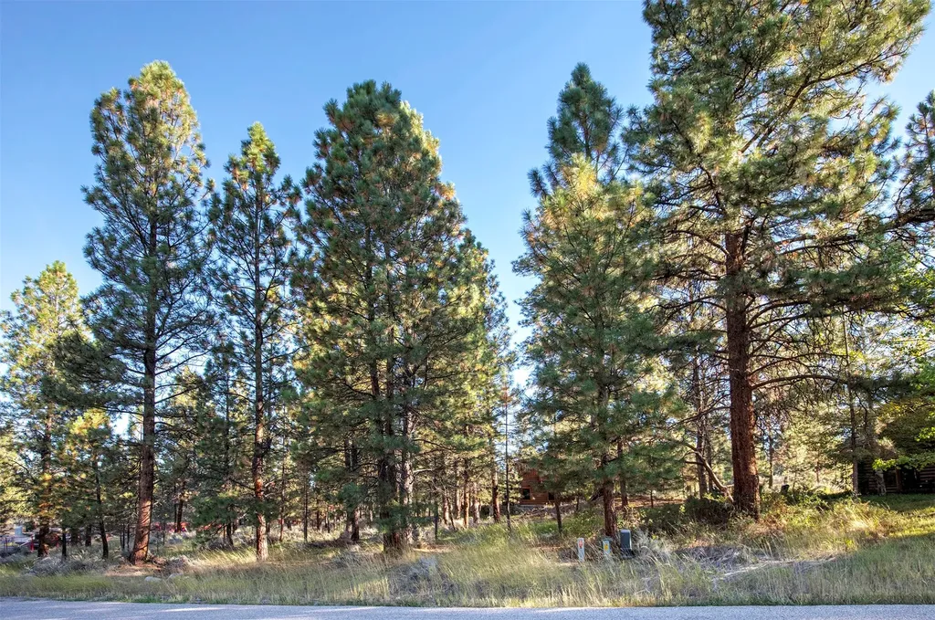 695 Pallo Trail Hamilton MT 59840