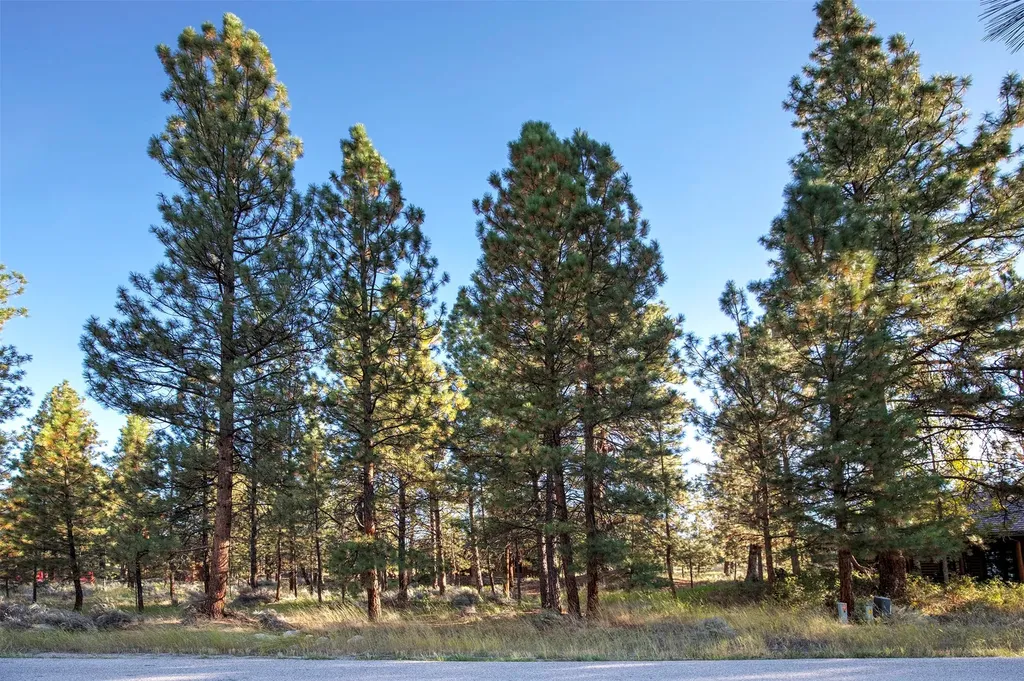 695 Pallo Trail Hamilton MT 59840