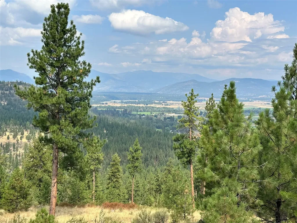 36 Bighorn Bluff Loop Plains MT 59859