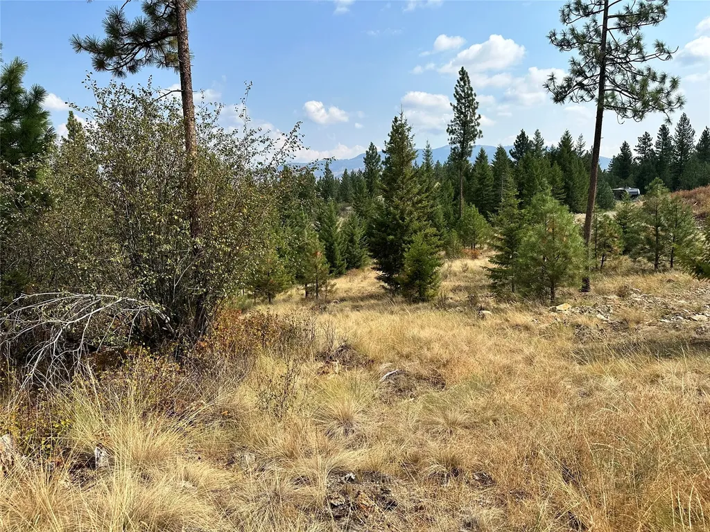 36 Bighorn Bluff Loop Plains MT 59859