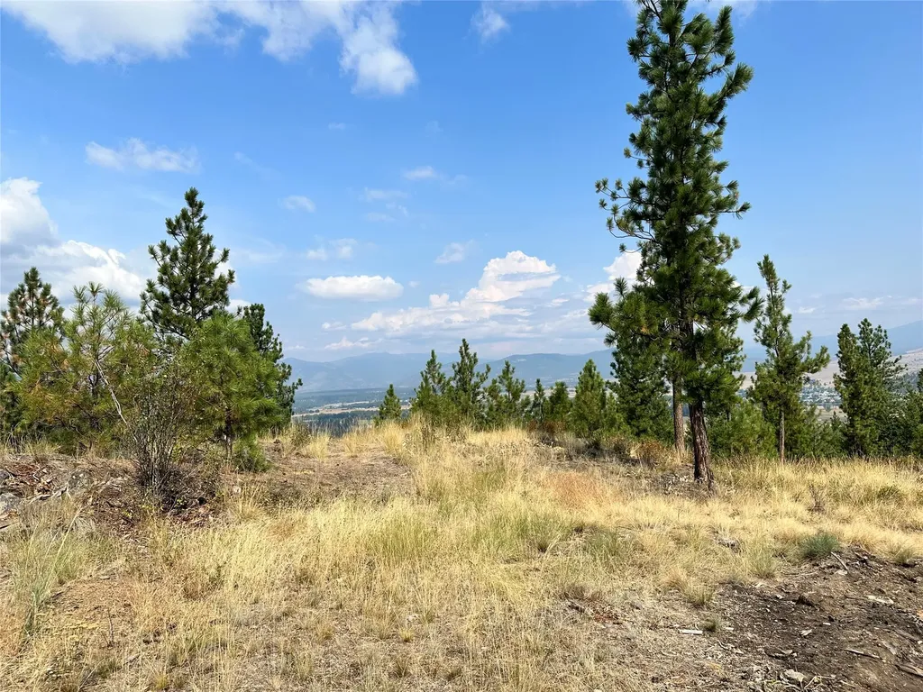 36 Bighorn Bluff Loop Plains MT 59859