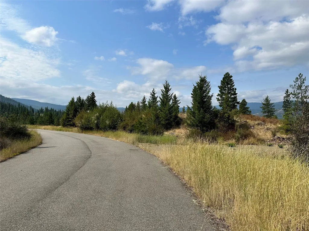 36 Bighorn Bluff Loop Plains MT 59859