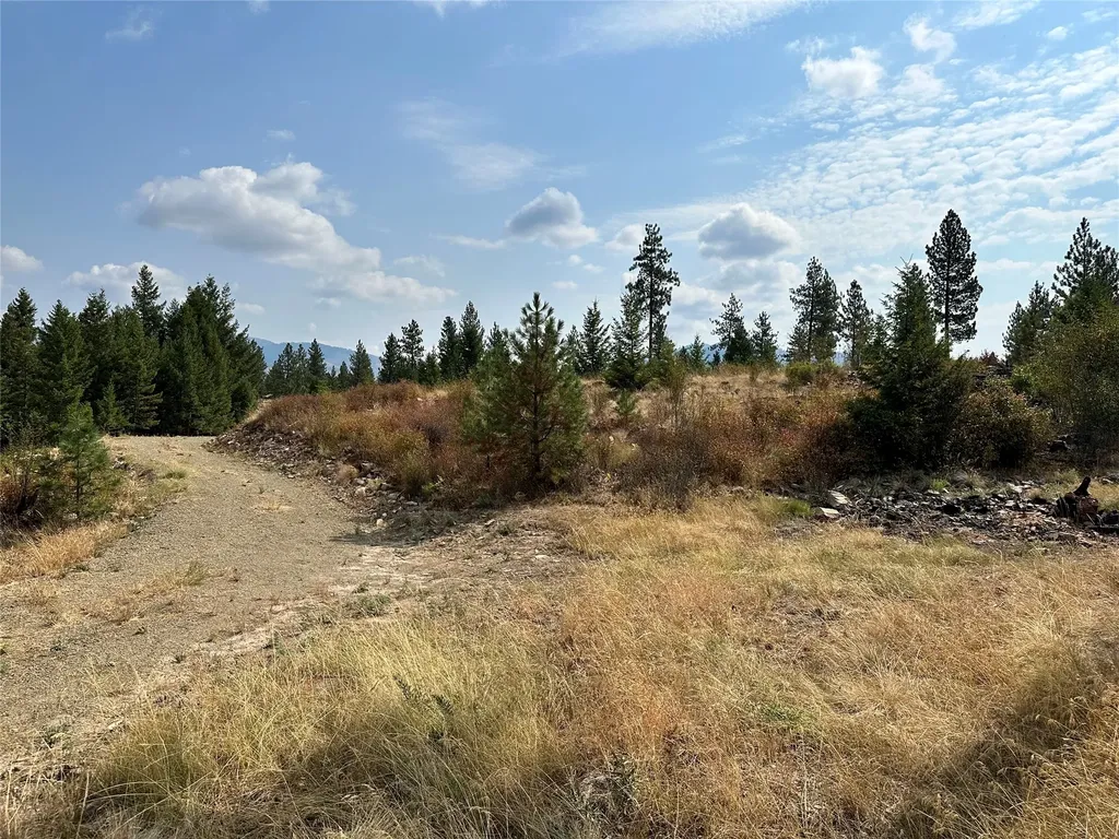 36 Bighorn Bluff Loop Plains MT 59859