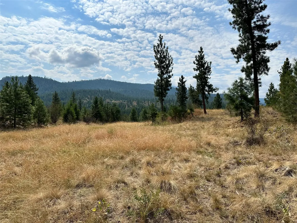 36 Bighorn Bluff Loop Plains MT 59859