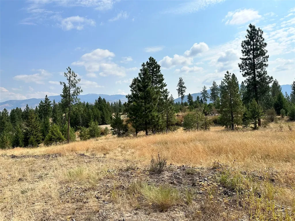 36 Bighorn Bluff Loop Plains MT 59859