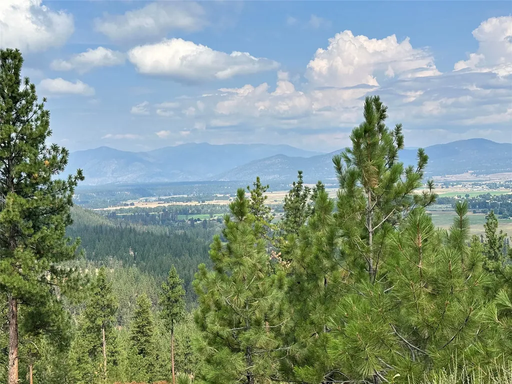 36 Bighorn Bluff Loop Plains MT 59859