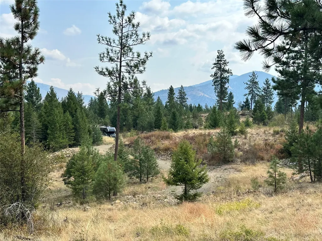 36 Bighorn Bluff Loop Plains MT 59859