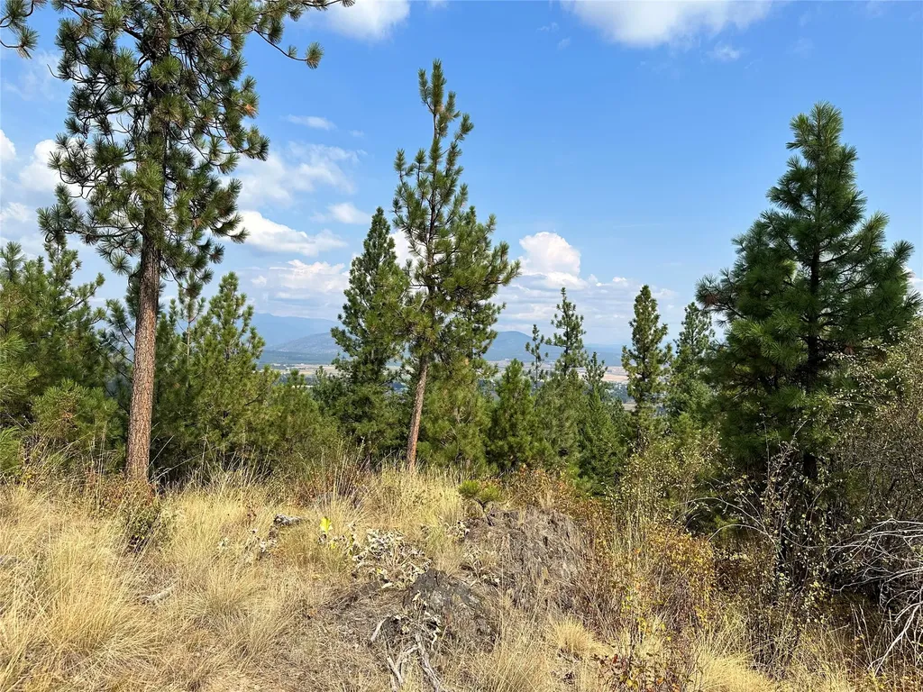 36 Bighorn Bluff Loop Plains MT 59859