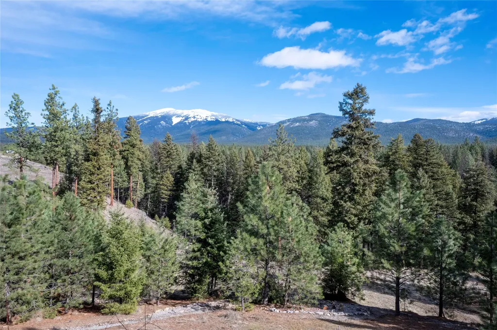 310 High Country Road Plains MT 59859