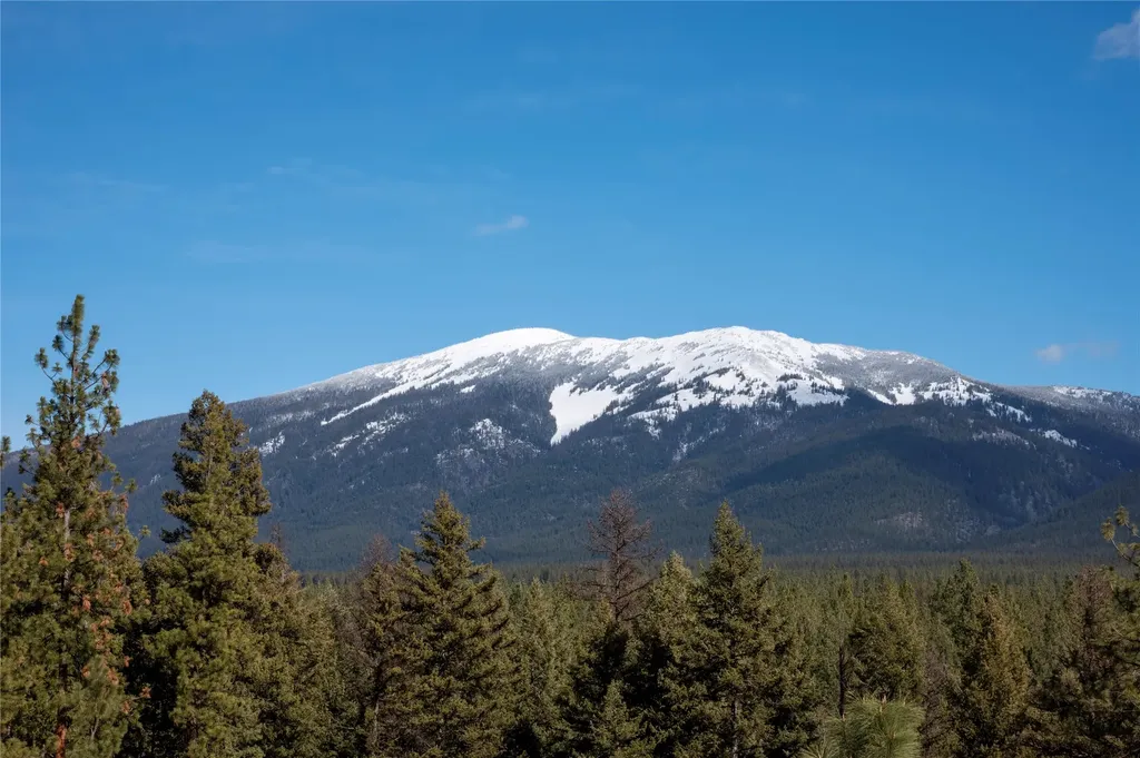 310 High Country Road Plains MT 59859