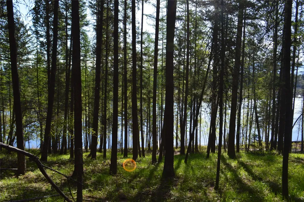 630 Leksand Trail Whitefish MT 59937