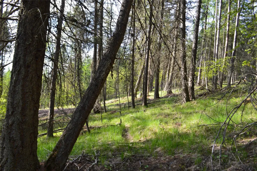 630 Leksand Trail Whitefish MT 59937