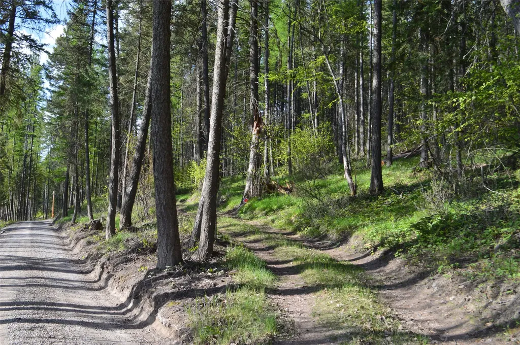 630 Leksand Trail Whitefish MT 59937