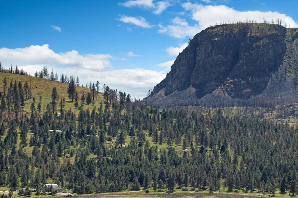 Nhn Lake Mary Ronan Road Dayton MT 59914